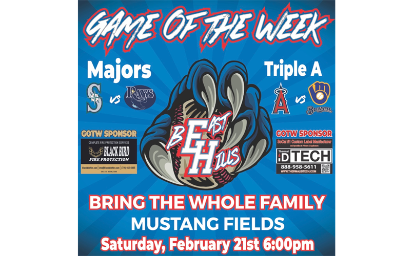 Game of the Week (2/21)