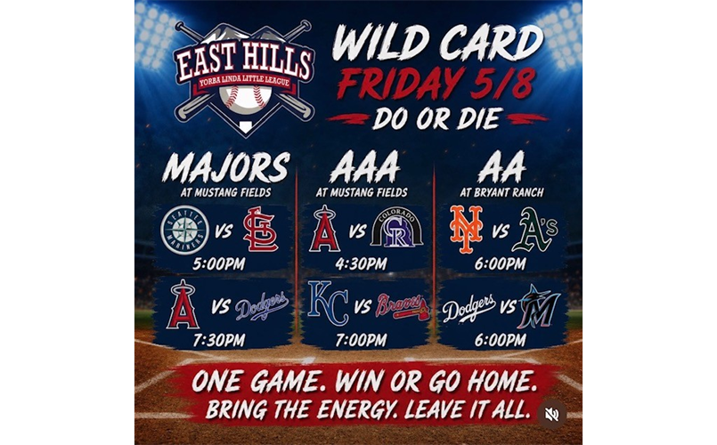Wild Card Friday!